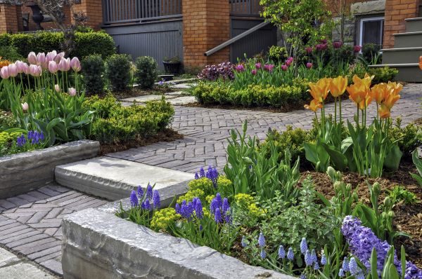 Hardscape Construction Service