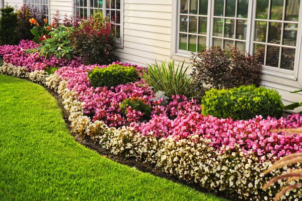 Garden Landscape Design