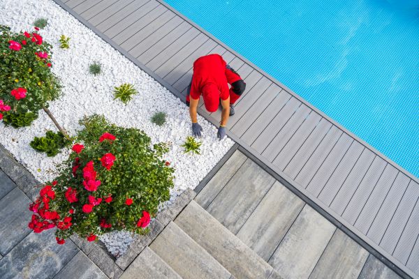 Poolside Landscaping